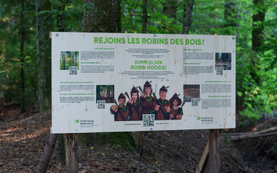 Les Robins des bois sont en action