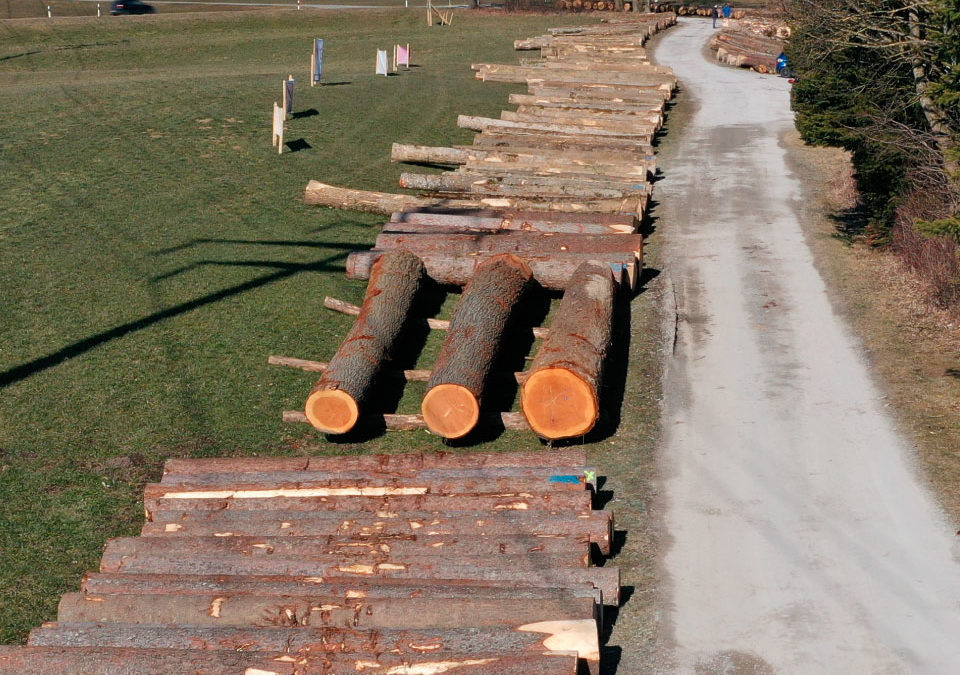 Mise de bois de la Gruyère 2022