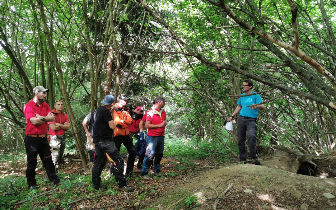 Journée du personnel forestier gruérien 2022