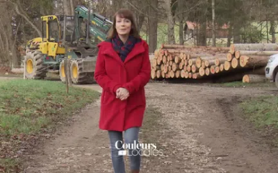 Reportage « exploitation du bois »