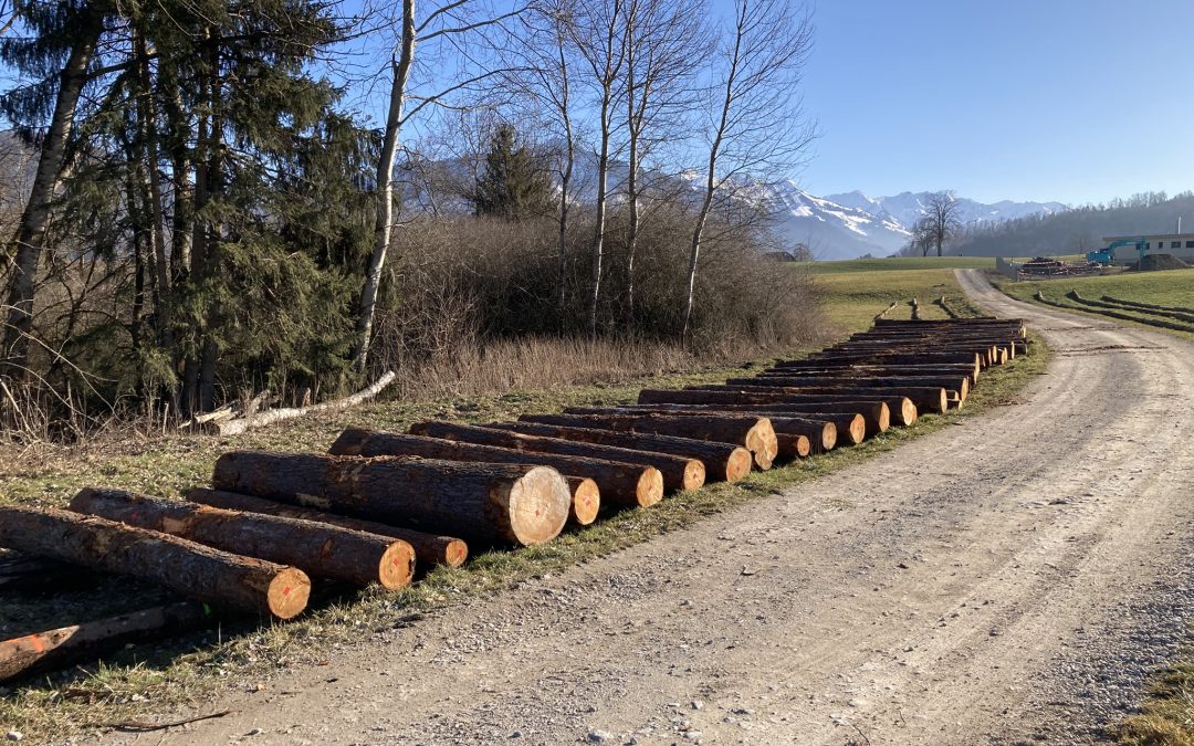 Enchères à Echarlens. Vente de bois locaux!