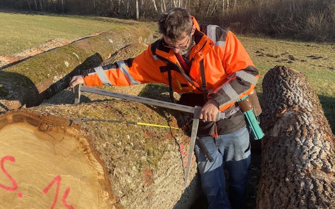 Reportage « de l’arbre à l’artisan »