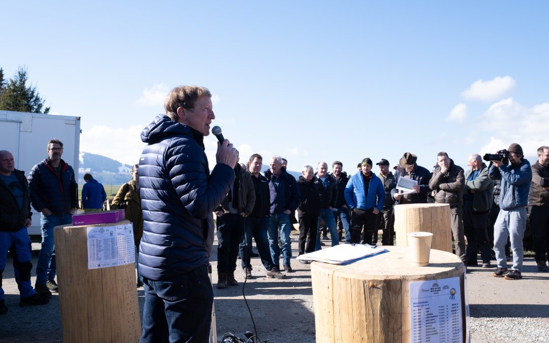 Présentation des plus belles billes