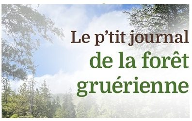 Le P&rsquo;tit journal – 5ème édition