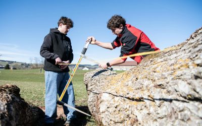 Les apprentis forestiers-bûcherons apprennent à valoriser le bois
