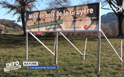 Reportage « Qui veut gagner des billons ? »