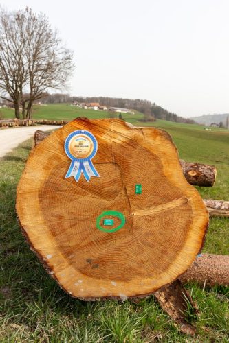 Mise de bois de la Gruyère 2026