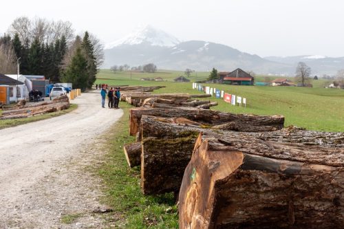 Mise de bois de la Gruyère 2026