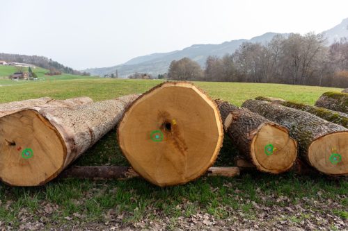 Mise de bois de la Gruyère 2026
