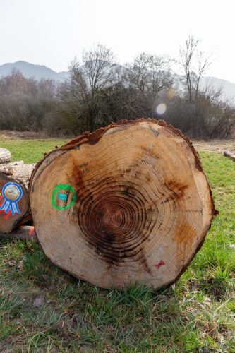Mise de bois de la Gruyère 2026