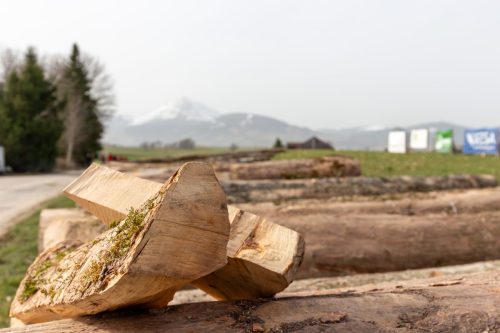 Mise de bois de la Gruyère 2026