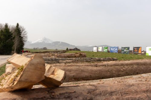 Mise de bois de la Gruyère 2026