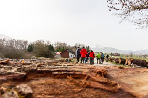 Mise de bois de la Gruyère 2026