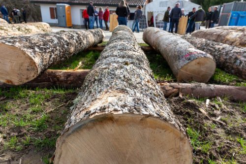 Mise de bois de la Gruyère 2026