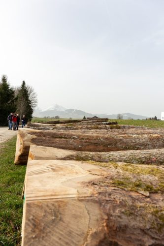 Mise de bois de la Gruyère 2026