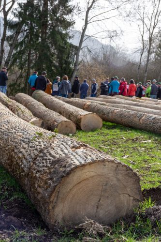 Mise de bois de la Gruyère 2026