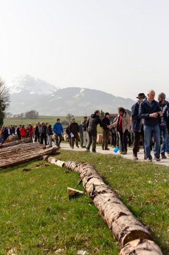 Mise de bois de la Gruyère 2026